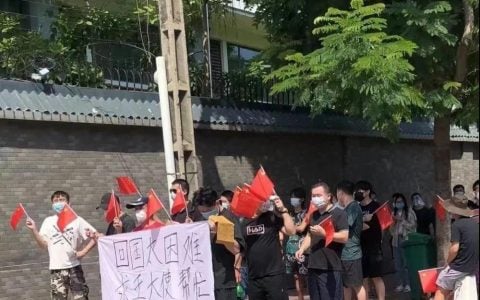 为什么大量在柬埔寨的中国人想尽一切办法都要回国？