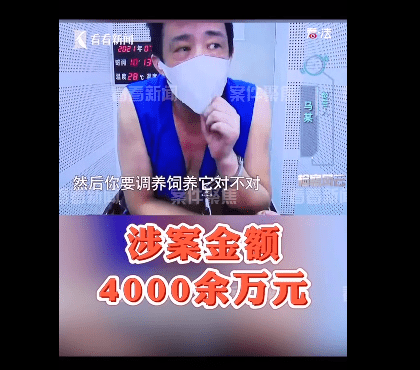 上海捣毁线上斗蟋蟀赌博平台 涉案金额4000余万元